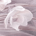 Miniatura fototapety Palmblätter auf rosa Hintergrund fragment #2