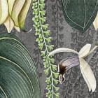 Miniatura fototapety Hängende Blumen oder Li fragment #2