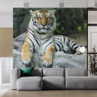 Miniatura fototapety Mächtiger Tig we wnętrzu salonu