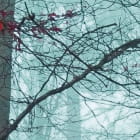 Miniatura fototapety Blau links fragment # 1