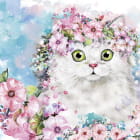 Miniatura fototapety Grünäugige Katze