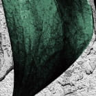 Miniatura fototapety Monstera auf Beton fragment # 1