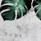 Miniatura fototapety Monstera auf Beton