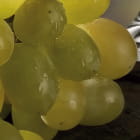 Miniatura fototapety Edler Wein fragment # 1