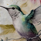 Miniatura fototapety Die schönsten Kolibris auf hellem Hintergrund fragment # 1