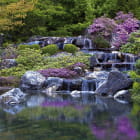 Miniatura fototapety Wasserfall in einem blühenden Garten