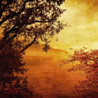 Miniatura fototapety Ruhiger Abendsonnenuntergang