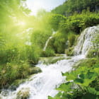 Miniatura fototapety Wasserfall in einem sonnigen Wald