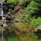 Miniatura fototapety Kleiner Wasserfall im Wald
