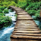 Miniatura fototapety Holzbrücke