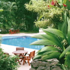 Miniatura fototapety Schwimmbad in einem tropischen Garten