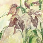 Miniatura fototapety Malerische Lilien