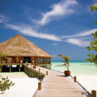 Miniatura fototapety Bungalow an einem sonnigen Strand