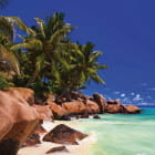 Miniatura fototapety Tropische Landschaft