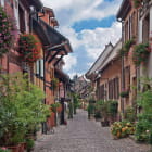 Miniatura fototapety Blumenstraße in Europa