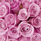 Miniatura fototapety Strauß rosa Rosen