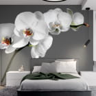 Miniatura fototapety Zarte Orchideen we wnętrzu sypialni