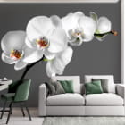 Miniatura fototapety Zarte Orchideen we wnętrzu pokoju nastolatka