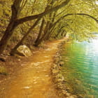 Miniatura fototapety Weg am Fluss