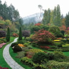Miniatura fototapety Butchart Gardens