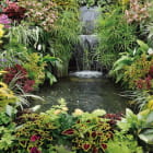 Miniatura fototapety Kleiner Wasserfall im Garten