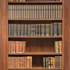 Miniatura fototapety Bücherregal
