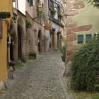 Miniatura fototapety Kopfsteinpflasterstraße