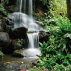 Miniatura fototapety Kleiner Wasserfall