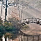 Miniatura fototapety Herbstpark