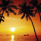 Miniatura fototapety Tropischer Sonnenuntergang