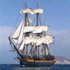 Miniatura fototapety Segelschiff auf See