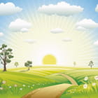 Miniatura fototapety Sommerwiese