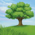 Miniatura fototapety Baum auf dem Hügel