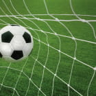 Miniatura fototapety Ball im Netz