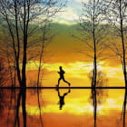 Miniatura fototapety Morgenlauf