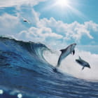 Miniatura fototapety Delphin springt aus dem Wasser