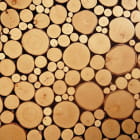 Miniatura fototapety Brennholz Holz