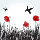 Miniatura fototapety Kolibris und Mohnblumen