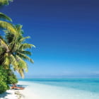 Miniatura fototapety Sonniger tropischer Strand