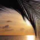 Miniatura fototapety Tropischer Strand bei Sonnenuntergang