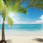 Miniatura fototapety Strand und Palme