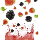 Miniatura fototapety Frische Beeren