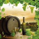 Miniatura fototapety Wein und Trauben