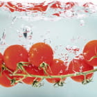 Miniatura fototapety Tomaten
