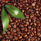Miniatura fototapety Blätter und Kaffeebohnen