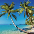 Miniatura fototapety Strand in Thailand