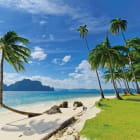 Miniatura fototapety Palmen an einem einsamen Strand