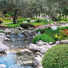 Miniatura fototapety Bach im Frühlingsgarten