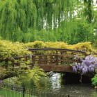 Miniatura fototapety Wunderschöner Frühlingsgarten