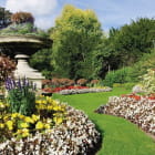 Miniatura fototapety Großer blühender Garten